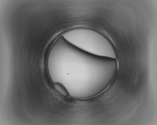 X0000110740531200906150931