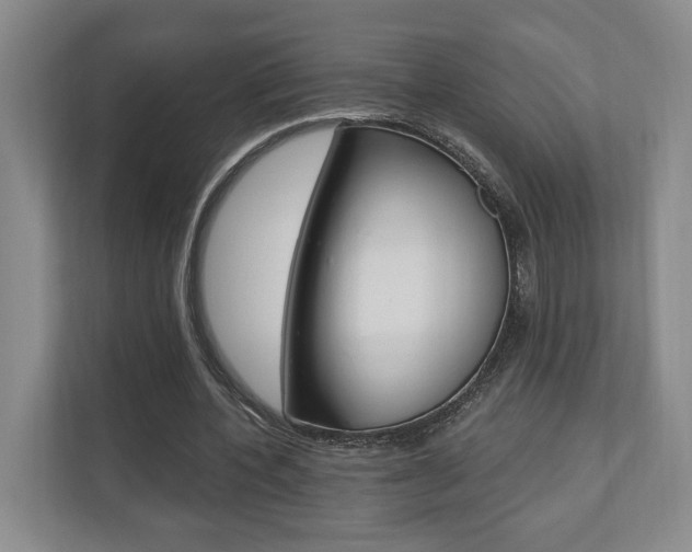 X0000110740532200906150931