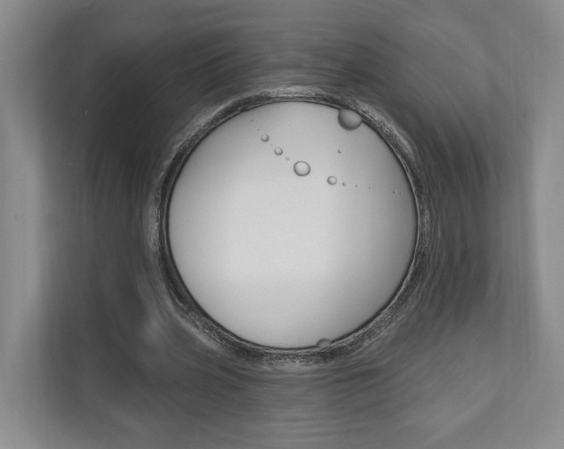 X0000110740533200906150931