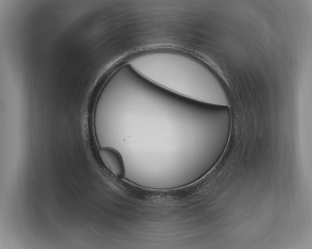 X0000110740535200906150931