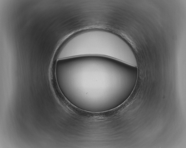 X0000110740536200906150931