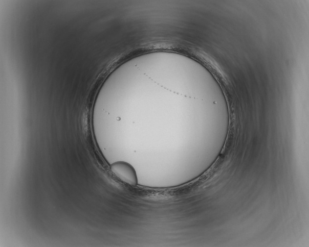 X0000110740537200906150931