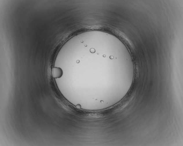 X0000110740541200906150931