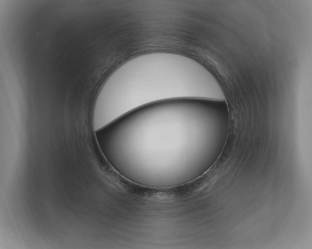 X0000110740546200906150931