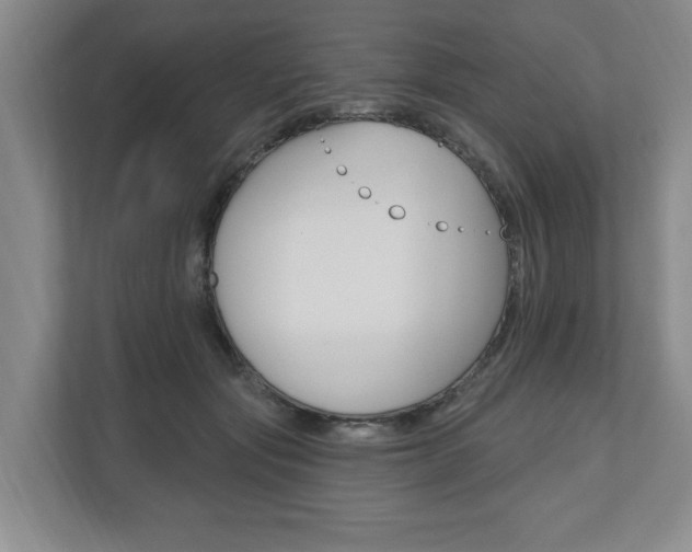 X0000110740557200906150931