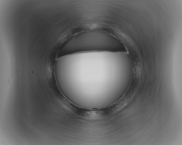 X0000110740558200906150931