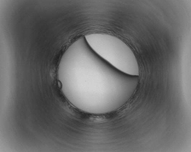X0000110740559200906150931