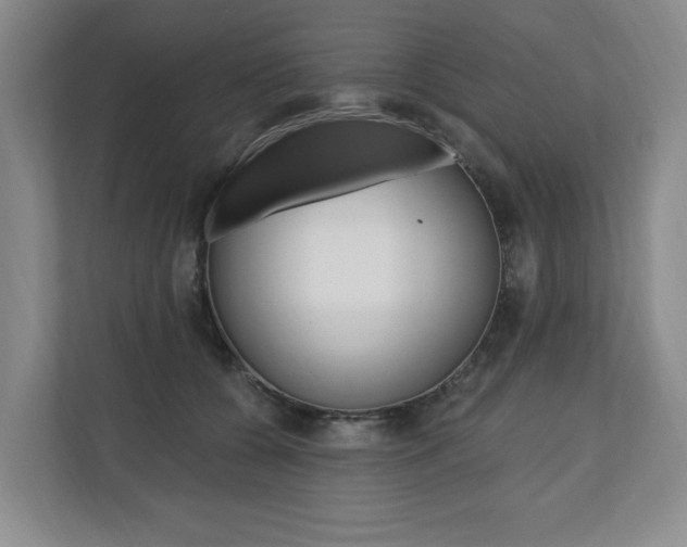 X0000110740560200906150931