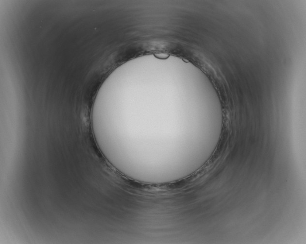 X0000110740561200906150931