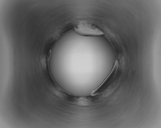 X0000110740562200906150931