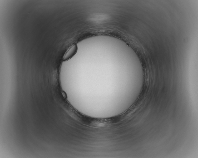 X0000110740563200906150931