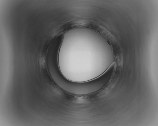 X0000110740564200906150931