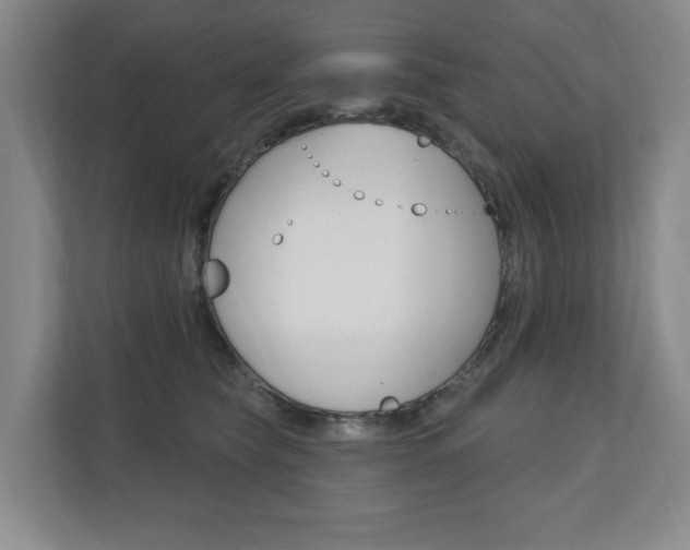 X0000110740565200906150931
