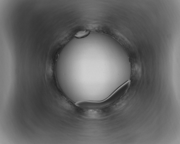 X0000110740566200906150931