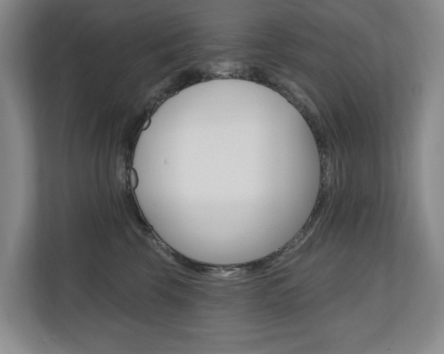 X0000110740569200906150931
