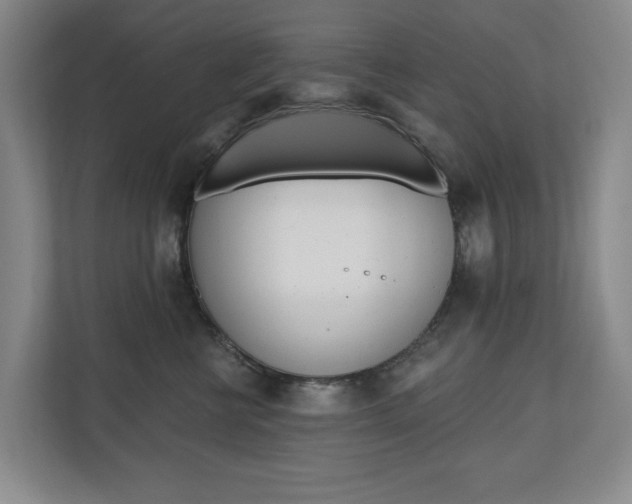X0000110740570200906150931
