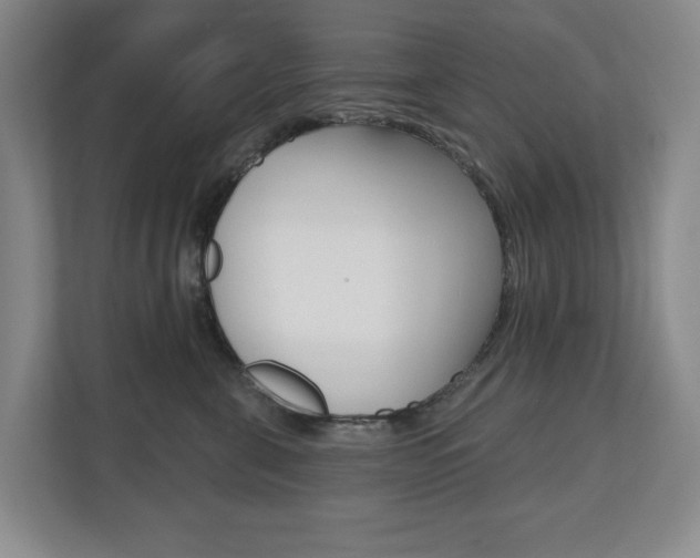 X0000110740571200906150931