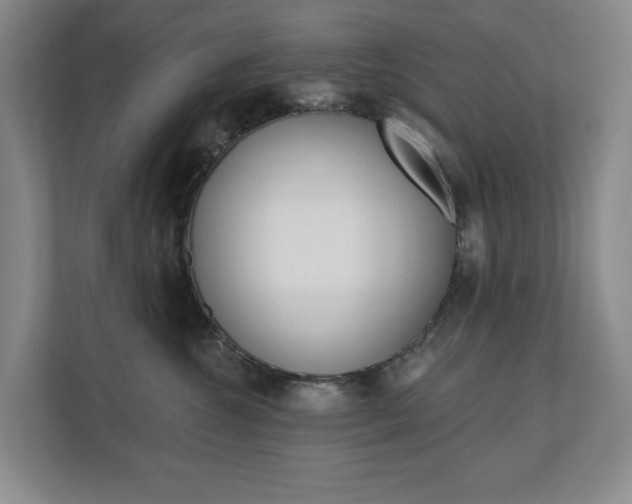 X0000110740572200906150931