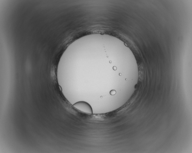 X0000110740573200906150931