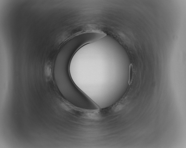 X0000110740576200906150931