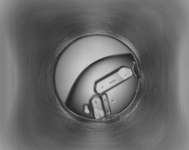 X0000110740577200906150931