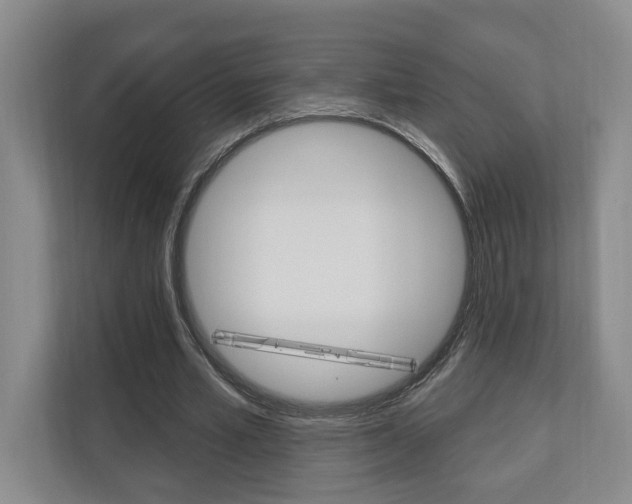 X0000110740581200906150931