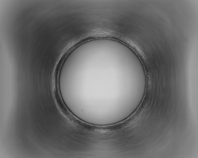 X0000110740582200906150931