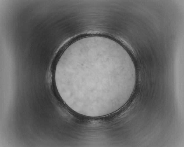 X0000110740584200906150931