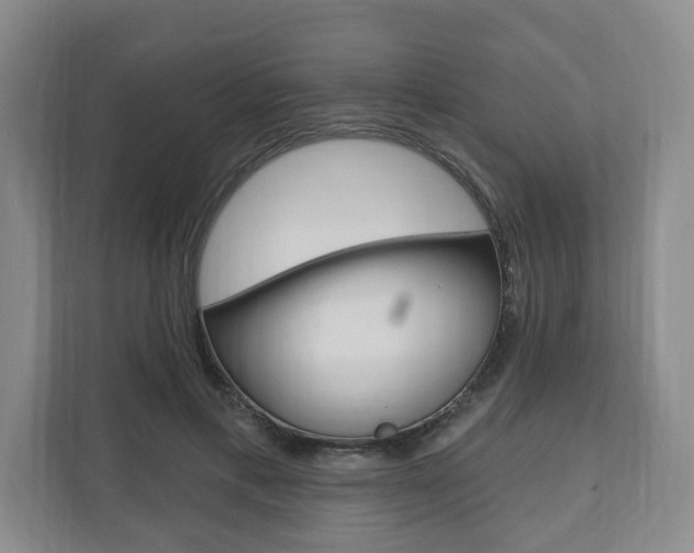 X0000110740597200906150930