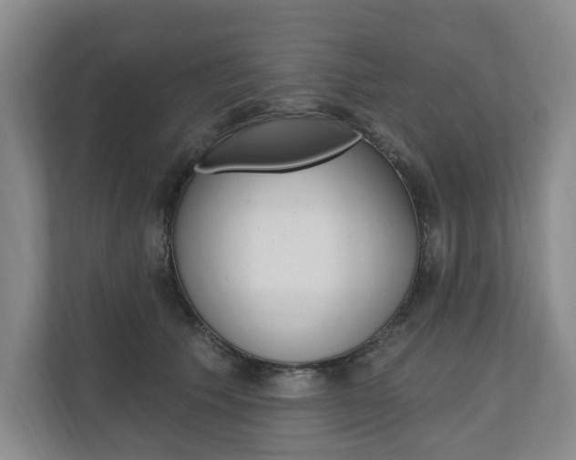 X0000110740609200906150930