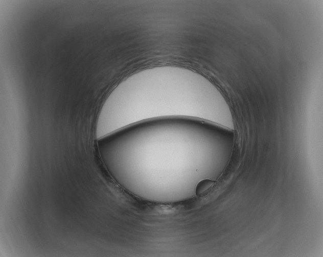 X0000110740613200906150930