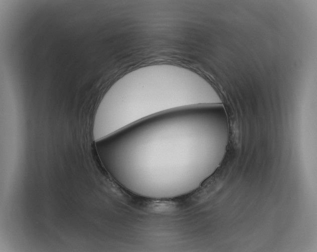 X0000110740617200906150930