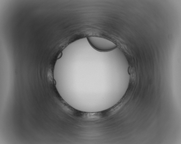 X0000110740622200906150930