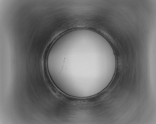 X0000110740626200906150929