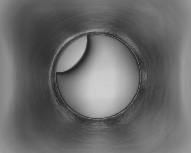 X0000110740628200906150929