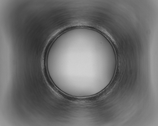 X0000110740629200906150929
