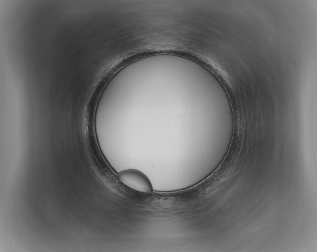 X0000110740631200906150929