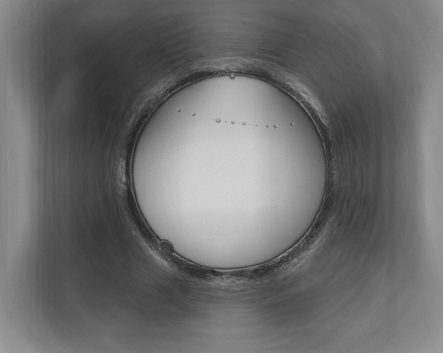 X0000110740633200906150929