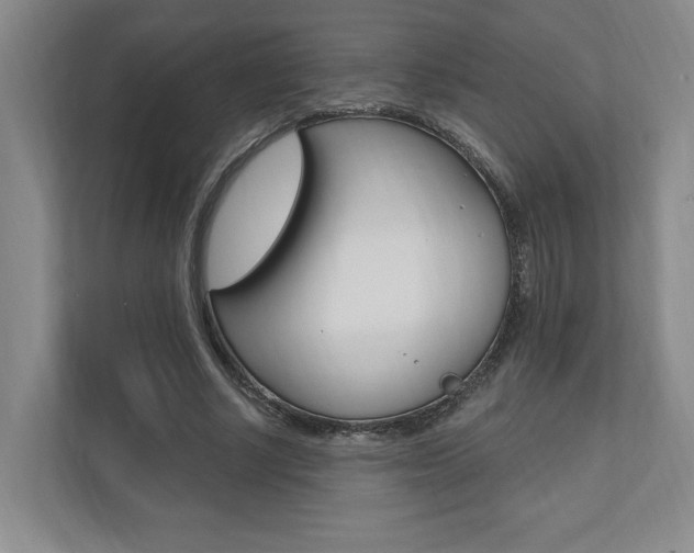 X0000110740634200906150929