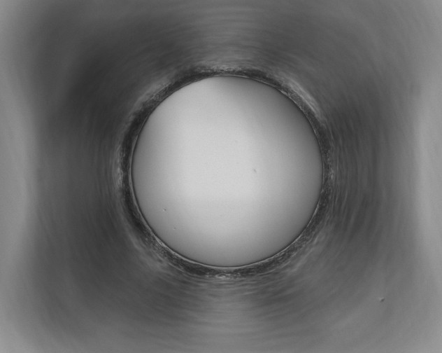 X0000110740635200906150929