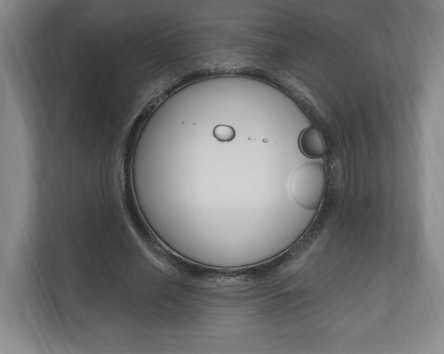 X0000110740638200906150929