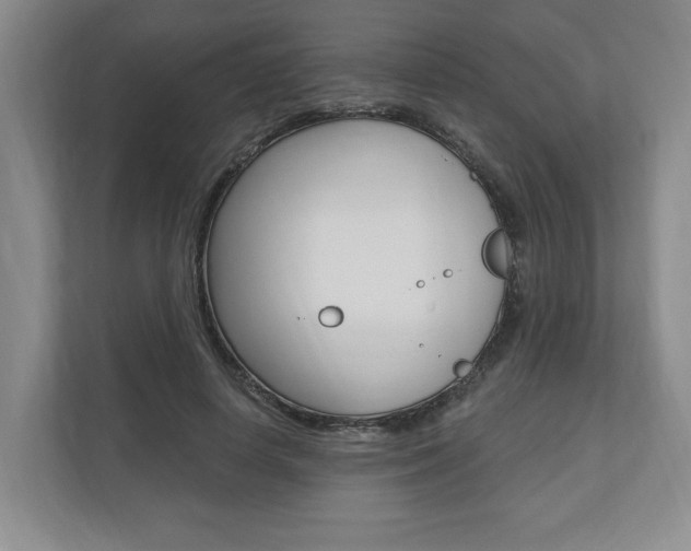 X0000110740642200906150929