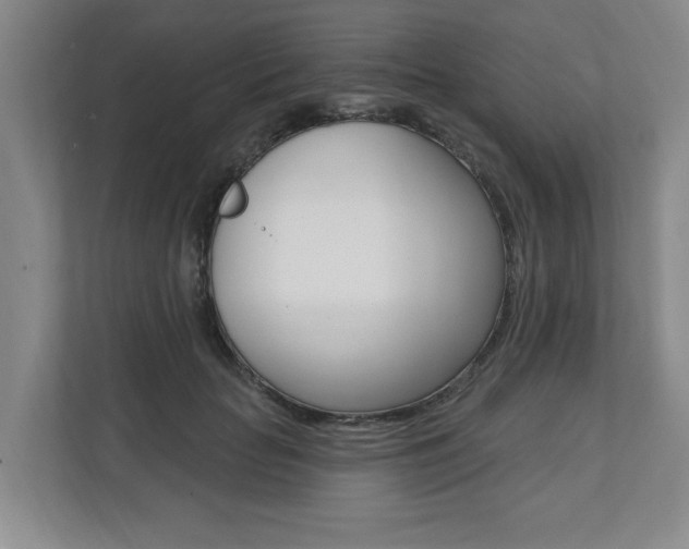 X0000110740653200906150930