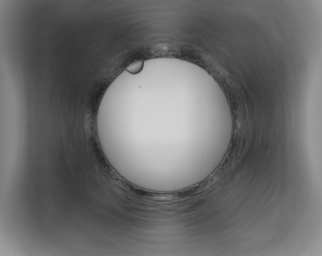X0000110740659200906150930