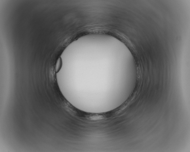 X0000110740669200906150930
