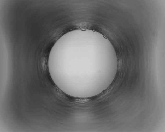 X0000110740671200906150930