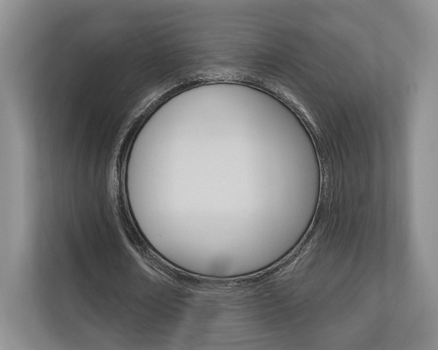 X0000110740674200906150929