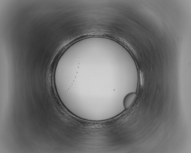 X0000110740675200906150929