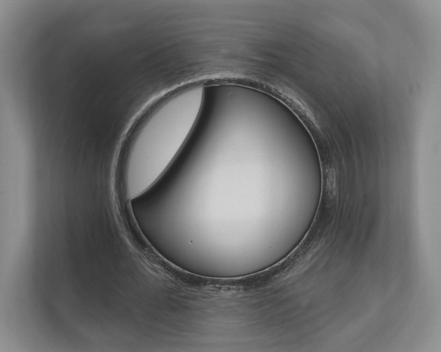 X0000110740676200906150929