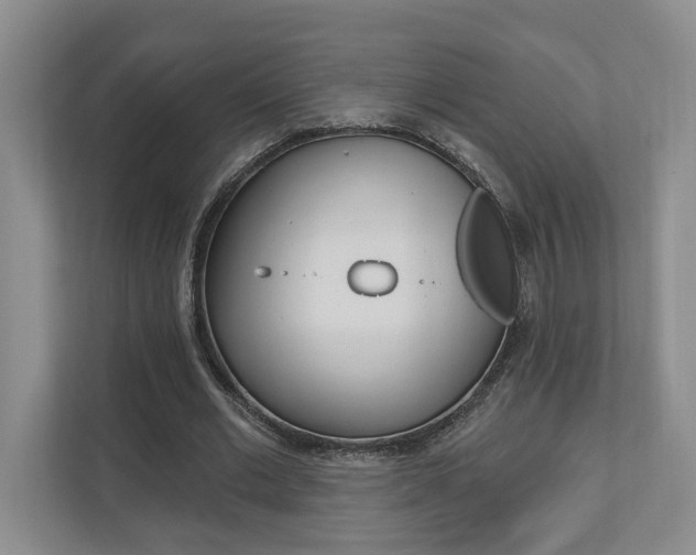 X0000110740677200906150929